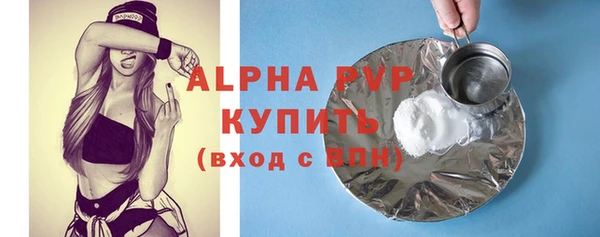 амф Верея