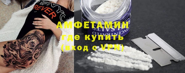амф Верея
